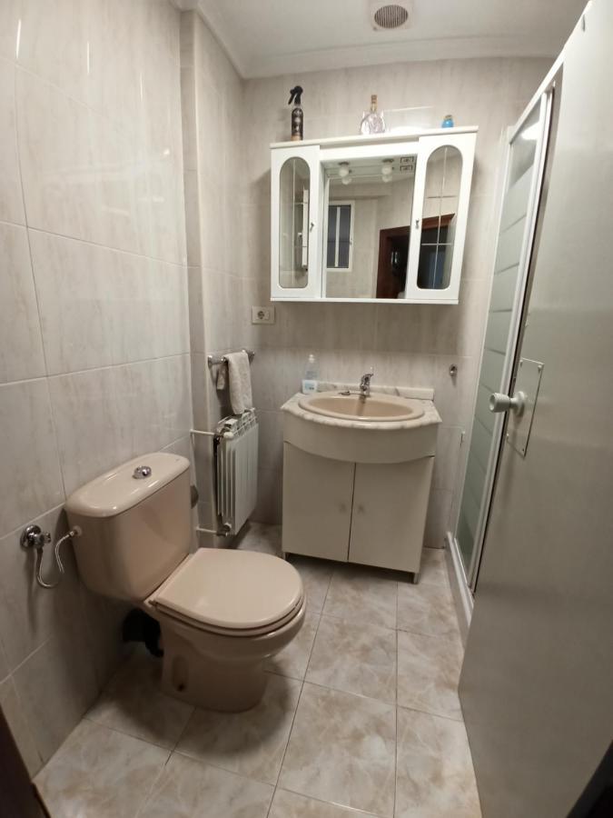 O Descanso Da Abella Apartment Ourense Bagian luar foto